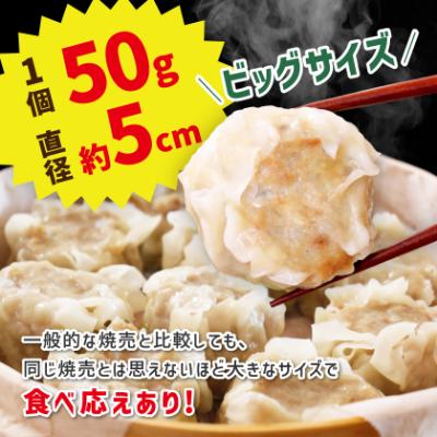 ふるさと納税 多古町 【千葉県産三元豚】元気豚 大粒肉焼売(シューマイ)セット　2.1kg(50g×42個) |  | 01