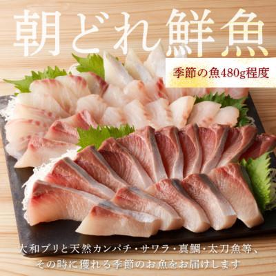 ふるさと納税 延岡市 大和の高級お刺身6人前 |  | 01