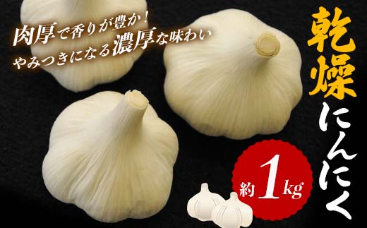 
【先行予約】乾燥にんにく (約1kg) にんにく ニンニク ガーリック 乾燥 食品 名産 四国 F5J-364
