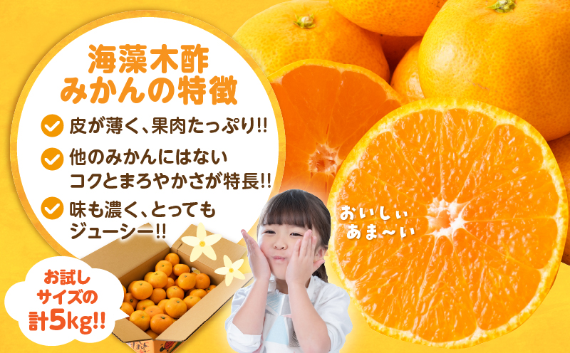 訳あり 数量限定 海藻木酢みかん 計5kg以上 傷み補償分付き フルーツ 果物 くだもの 柑橘 みかん 国産 期間限定 食品 家庭用 自宅用 B品 わけあり オレンジ デザート おやつ おすすめ おす