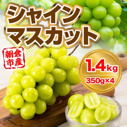 シャインマスカット 約1.4kg (350g×4p) 朝倉市産 シャイン マスカット ぶどう ブドウ 果物 葡萄 デザート ※配送不可：離島