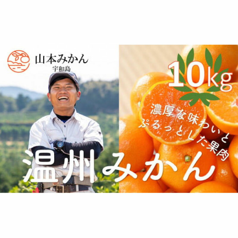 【ふるさと納税】 みかん 温州みかん 南柑20号 10kg 家庭用 山本みかん 先行予約 愛媛みかん 愛媛蜜柑 愛媛ミカン 温州 みかん mikan 愛媛みかん 愛媛ミカン 愛媛蜜柑 蜜柑 果物 くだもの フルーツ 柑橘 産地直送 農家直送 数量限定 国産 愛媛 宇和島 B012-038001