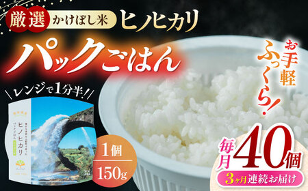 【全3回定期便】いちょうの畑 パックご飯 150ｇ×40パック 一人暮らし 一人暮らし 一人暮らし 一人暮らし 一人暮らし [YDN006]