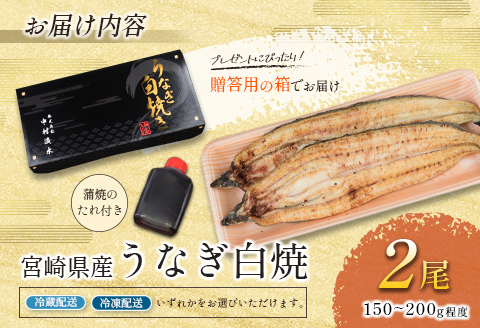 ◇［玄人の一品］うなぎ白焼き 2尾 合計300g以上 宮崎県産鰻 化粧箱入り 蒲焼タレ付 2週間以内出荷【C427】