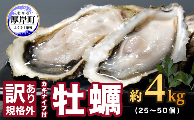 
訳あり 規格外 牡蠣 北海道厚岸産 殻付カキ 約4kg (25〜50個) カキナイフ付 生食 [№5863-0514]
