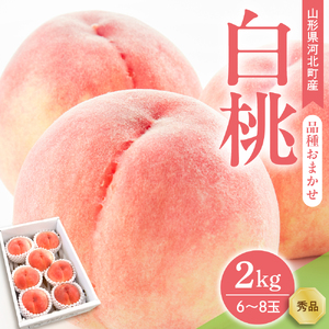 【令和7年産】白桃 品種おまかせ 2kg (6～8玉前後) ギフト箱入 秀品 山形県河北町産 【山形eLab】
