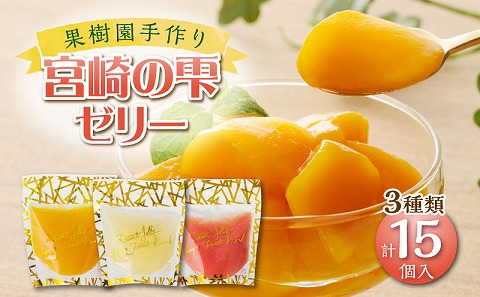 宮崎の雫ゼリー マンゴーゼリー65g 6個・日向夏ゼリー65g 6個・グァバゼリー65g 3個_M339-001