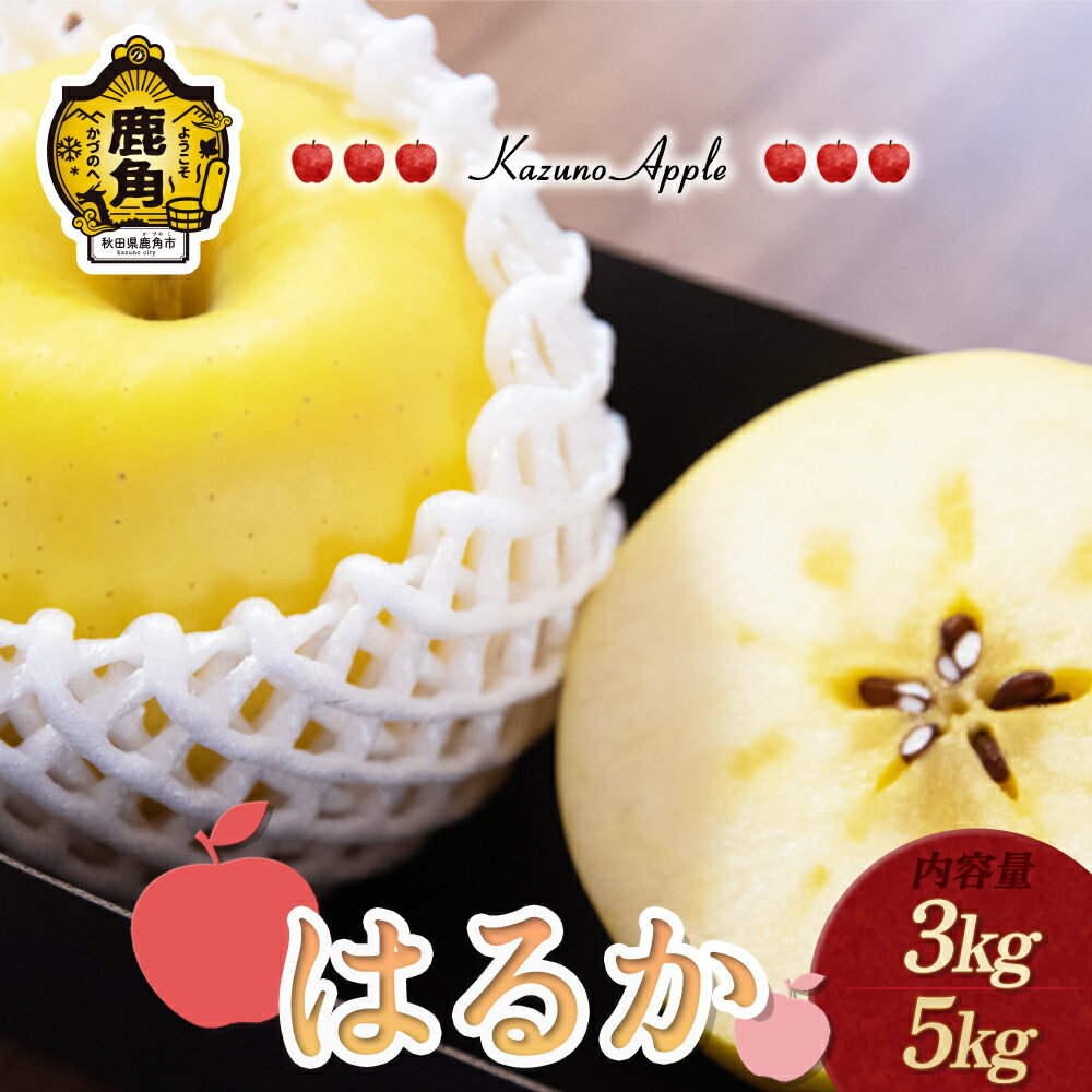 【ふるさと納税】《 先行予約 》 りんご 鹿角りんご 「 はるか 」 選べる 3kg ／ 5kg りんご 贈答用 林檎 リンゴ みずみずしい 果汁 リンゴ 完熟 蜜入り 旬 県産りんご お中元 お歳暮 贈り物 お見舞い グルメ ギフト 故郷 秋田 あきた 鹿角市 鹿角 送料無料 【佐藤秀果園】