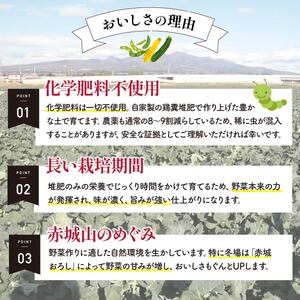 西洋野菜 良農園 旬野菜ギフト8～10品