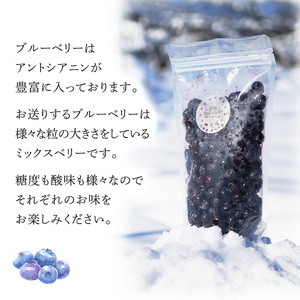 ブルーベリー ミックス 500g 冷凍 果物 くだもの フルーツ 旬の果物 旬のフルーツ ミックスブルーベリー 大粒 小粒 保存 北海道 芦別市