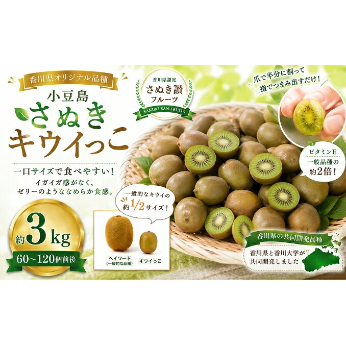 【ふるさと納税】小豆島さぬきキウイっこ 約3kg キウイ フルーツ 果物 香川県 土庄町　お届け：2026年11月5日～2026年12月31日
