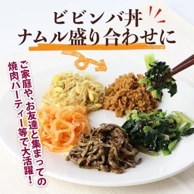 ふるさと納税 板倉町 ビビンバ丼キット(2セット)|13_mry-010201 |  | 03