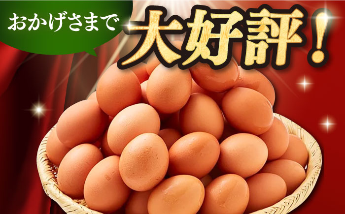 【全12回定期便】特選 素直な恋たまご 30個 《壱岐市》【しまのたまご屋さん】  卵 たまご 鶏卵 玉子 ギフト 国産 卵かけご飯 たまごかけご飯 のし 定期便 [JAP021]