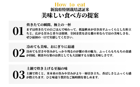 【令和7年産】新潟県認証魚沼産コシヒカリ NO.6 5kg（5kg×1袋） 新潟県 津南町 株式会社麓