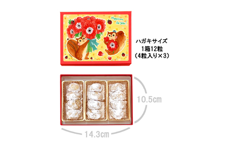 [西光亭]くるみのクッキー＆チョコマカダミアクッキー（各1個／お渡し用のお手提げ袋2袋付） 【090001】