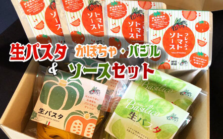 生パスタ&ソースセット バジル・かぼちゃ  生 パスタ 麺 食品 保存 備蓄 生麺 グルメ スパゲティ 本格 小麦 タリアッテレ 国産 めん 麺類