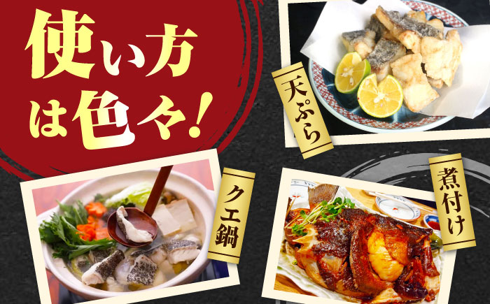 【全3回定期便】 【 対馬産 】 天然 クエ 400g （切り身）《対馬市》【石川水産】 鍋 水炊き 鮮度抜群 海鮮 [WAB030]