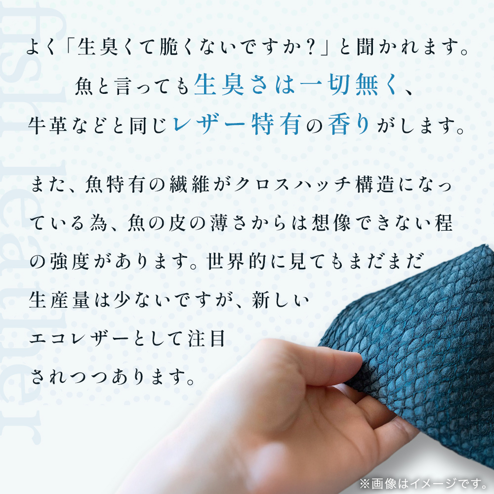 【海から生まれたフィッシュレザー】HalfWallet［buri］ ブラ