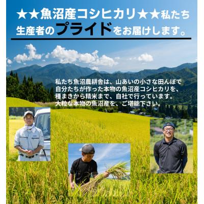 ふるさと納税 魚沼市 令和7年産米農家自慢の 特別栽培米 魚沼産 コシヒカリ(精米)5kg×1袋 |  | 03