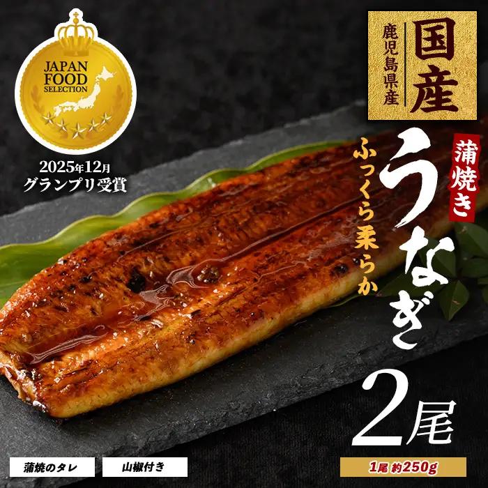 うなぎ 蒲焼 2尾 約500g 鹿児島県産 うなぎ IB021-001