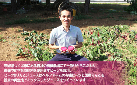 ビーツ＆りんごジュース 100g×15 パック＜離島・沖縄配送不可＞【 茨城県りんご ジュース つくば市りんご ジュース 飲料りんご ジュース ドリンク フルーツりんご ジュース 林檎 健康りんご ジ