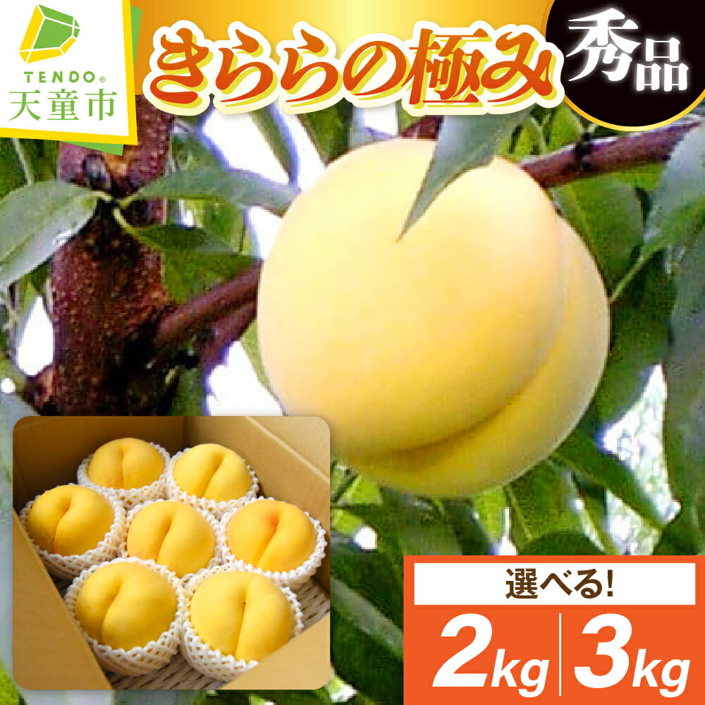 【ふるさと納税】 もも ( きららの極み ) 選べる 2kg / 3kg 先行予約 令和8年産 2026年産 黄桃 桃 ピーチ peach 果物 くだもの デザート 旬 冷蔵 お取り寄せグルメ 産地直送 送料無料 【 山形県 天童市 】