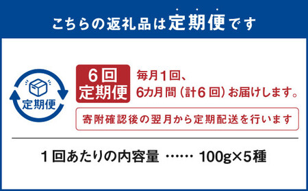 【6ヶ月定期便】世界のコーヒー豆詰め合わせ 500g (100g×5種) コーヒー 珈琲 豆 セット