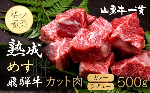 
                  ＜8月から寄附額改定＞飛騨牛 カレーシチュー用 500g 牛肉 和牛 飛騨の牧場で育った熟成肉『山勇牛』30日以上熟成 サイコロステーキ 冷凍 飛騨牛 熟成肉 飛騨市
                