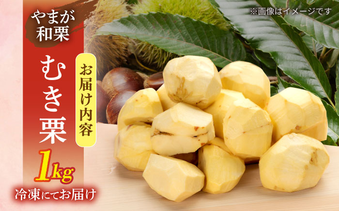 むき栗 約1kg（約250g×4pc） 【すみれファーム】 [ZEP060]