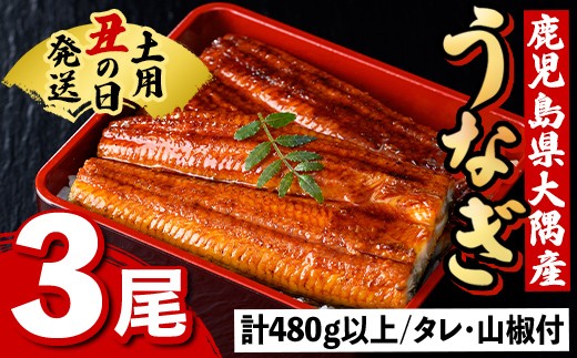 B57007 《土用の丑の日までに発送！》うなぎ蒲焼・大(有頭)(3尾・計480g以上、タレ、山椒付) 鹿児島 国産 大隅産 九州産 鰻 うなぎ ウナギ 蒲焼き うな丼 うな重 ひつまぶし 土用の丑の日 丑の日発送 スタミナ 冷凍 真空パック お土産 化粧箱 贈答 ギフト プレゼント 【一般社団法人きもつき宇宙協議会】