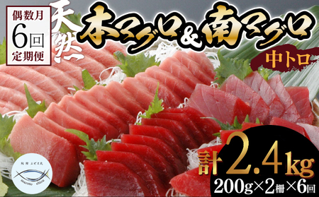 【６回定期便】天然本マグロ 天然南マグロ 中トロ 各1柵 偶数月 マグロ 鮪 まぐろ
