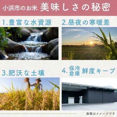ふるさと納税 小浜市 【毎月定期便】福井県産こしひかり白米10kg全4回 |  | 03