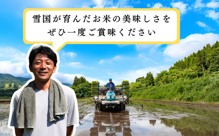 【先行予約】[令和7年産 新米]瑞穂 豊米（ゆたかまい） 精米 5kg（7-52） 長野県 飯山市 おすすめ ランキング おいしい 高評価 大人気 こしひかり こしひかり こしひかり こしひかり こし