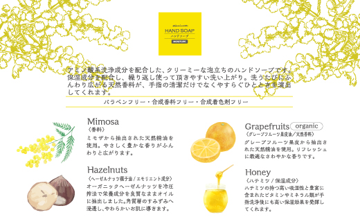 【 ミアミモザ 】【 ギフト箱入 】 ミアミモザ ハンドソープ 50ml 1本 化粧箱 ギフト箱 天然香料 が ふんわり 広がる クリーミー 泡 手洗い 液体 ギフト プレゼント 贈答 美容 コスメ 