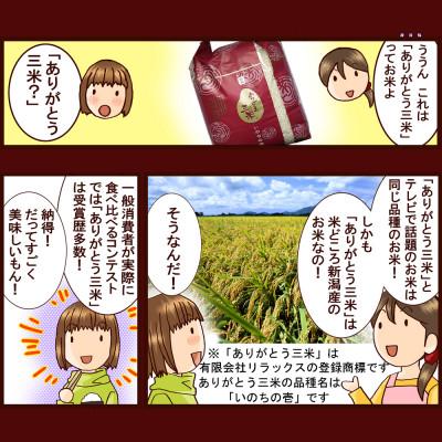 ふるさと納税 田上町 【毎月定期便】令和7年産 新潟いのちの壱コンテスト受賞者の米 精米5kg全4回 |  | 02