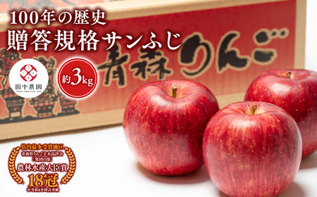 ≪12月発送 ≫ 100年の歴史 贈答規格サンふじ 約3kg 青森県平川市産[hi-0039-004]