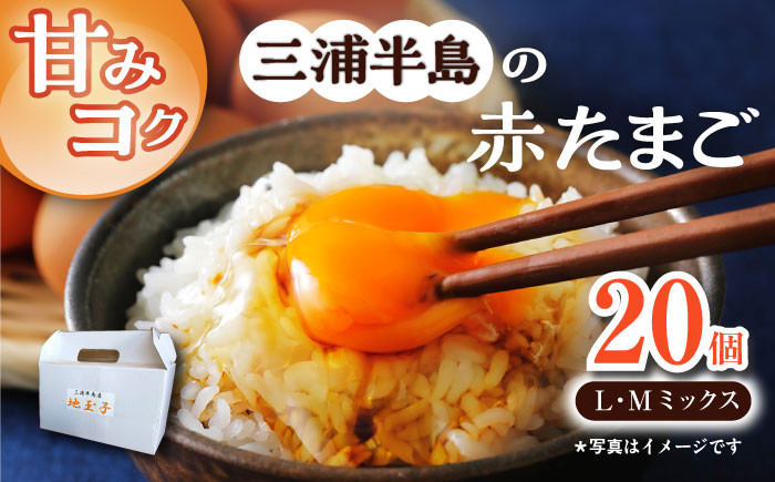 
            餌にこだわった三浦半島産赤たまご 20個 卵 たまご 【横須賀商工会議所　おもてなしギフト事務局（岩沢ポートリー）】 [AKET003]
          