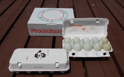 江原ファーム　アローカナの青い卵（計２０個）_AG10