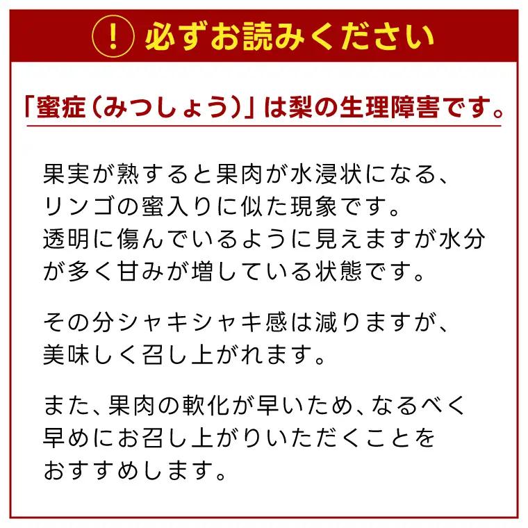 梨 新高 5kg 先行予約 2026年発送 仁平果樹園 益子町産 DB004