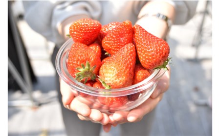 【紅ほっぺ】MIX（サイズいろいろ）1kg程度 No.257