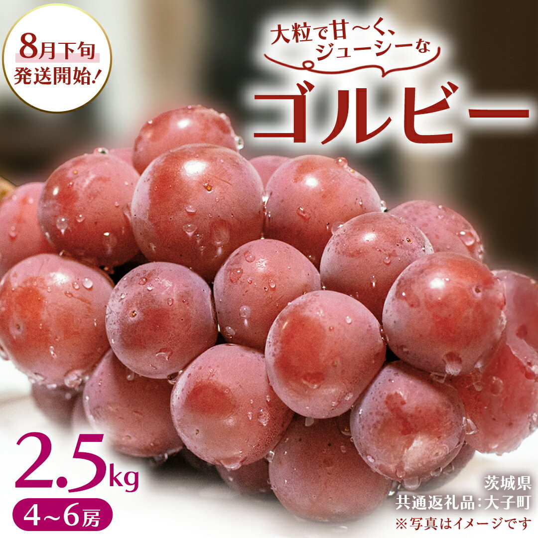 【ふるさと納税】ゴルビー 2.5kg (4～6房)【2026年8月下旬発送開始】(茨城県共通返礼品：大子町) ぶどう 葡萄 ブドウ 果物 フルーツ 果実
