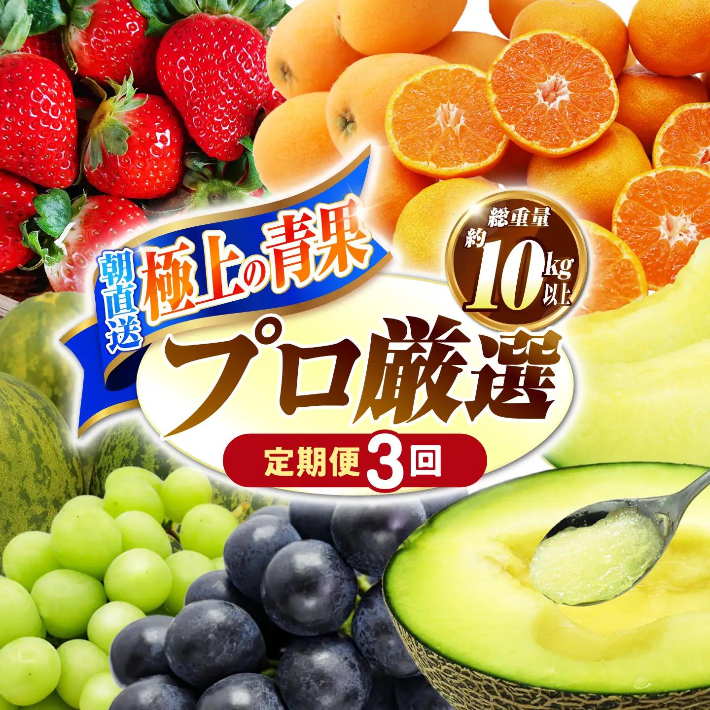 【3回定期便】フルーツ定期便  贅沢宝庫 [SDZ024]