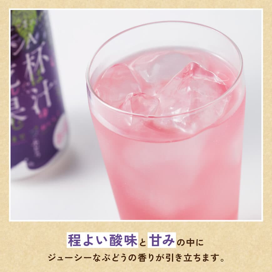 サンA乾杯果汁ぶどう酎ハイ　350ml缶×24本×2ケース 【 サンA 乾杯果汁 ぶどう 酎ハイ 宮崎県産 】