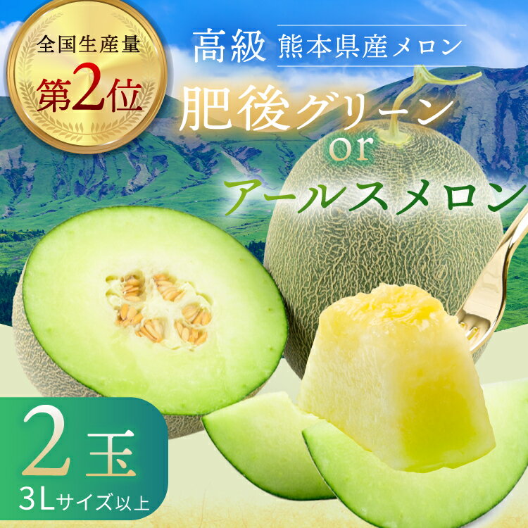 【ふるさと納税】メロン 2玉 肥後グリーン or アールスメロン | 果物 フルーツ 高級 マスクメロン 旬 熊本県 玉名市 送料無料