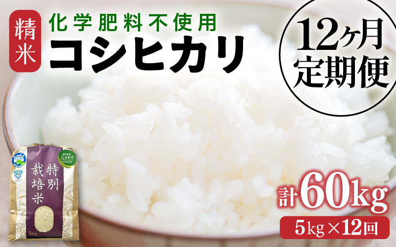 
                  【先行予約】【令和8年産】定期便 ≪12ヶ月連続お届け≫  化学肥料不使用 特別栽培米 コシヒカリ 精米 5kg × 12回（合計60kg） / 白米 米 福井県あわら市産 美味しい 特別栽培米 減農薬 安心な米 旨味 甘み もっちり 冷蔵保管米 ※2026年10月上旬以降発送予定 [aw010-k003]
                