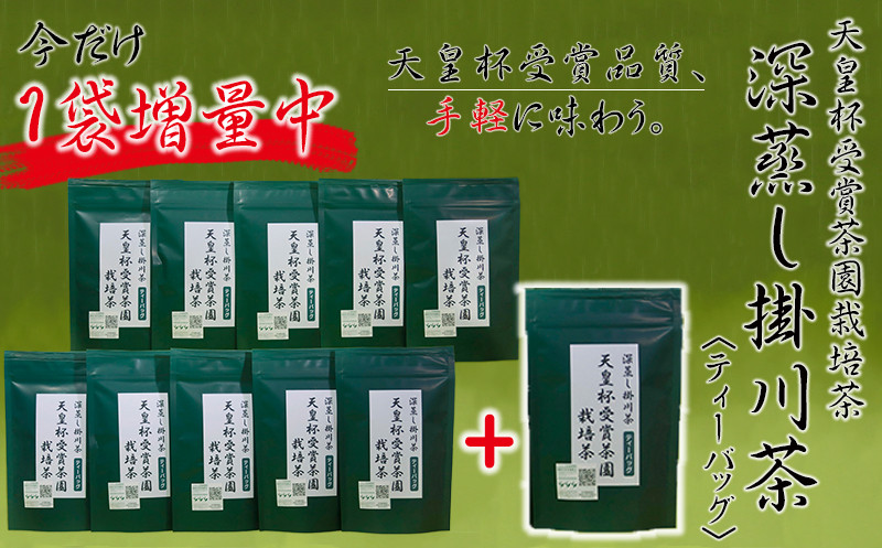 
１９５７　天皇杯受賞茶園栽培茶　深蒸し掛川茶ティーバッグ５ｇ×１０個×１０袋　計１００個　山英
