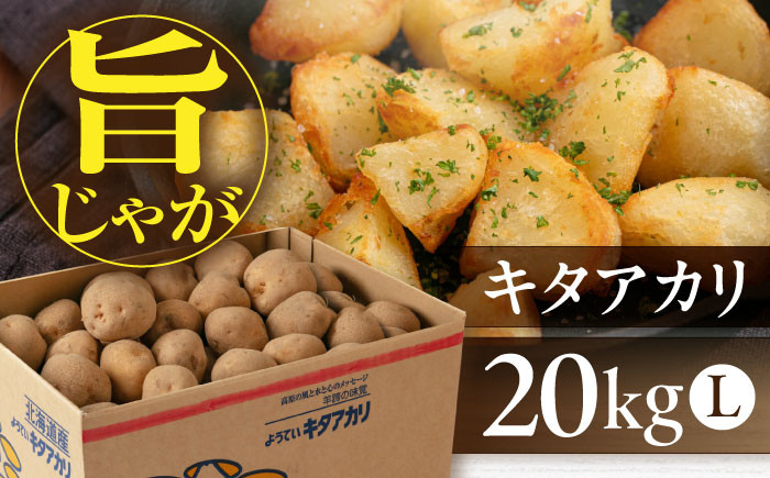  ジャガイモ じゃがいも 野菜 季節の野菜 詰め合わせ 北海道 産地直送