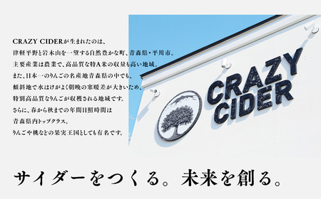 【レビューキャンペーン】りんごの果実酒 CRAZY CIDER（クレイジーサイダー・ドライ：アルコール度数7％）330ml×6本セット　【洋酒・お酒・りんご・果実酒・アップル・ シードル・非加熱・フル