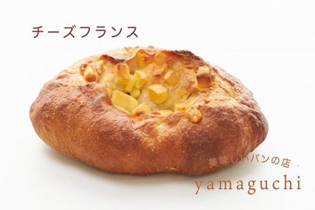 バラエティ食事用パンセット/冷凍パン 食パン フランスパン ベーグル 天然酵母 食べ比べ