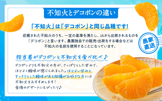 AA132.農家直送の不知火／約3kg（2027年2月発送予定)